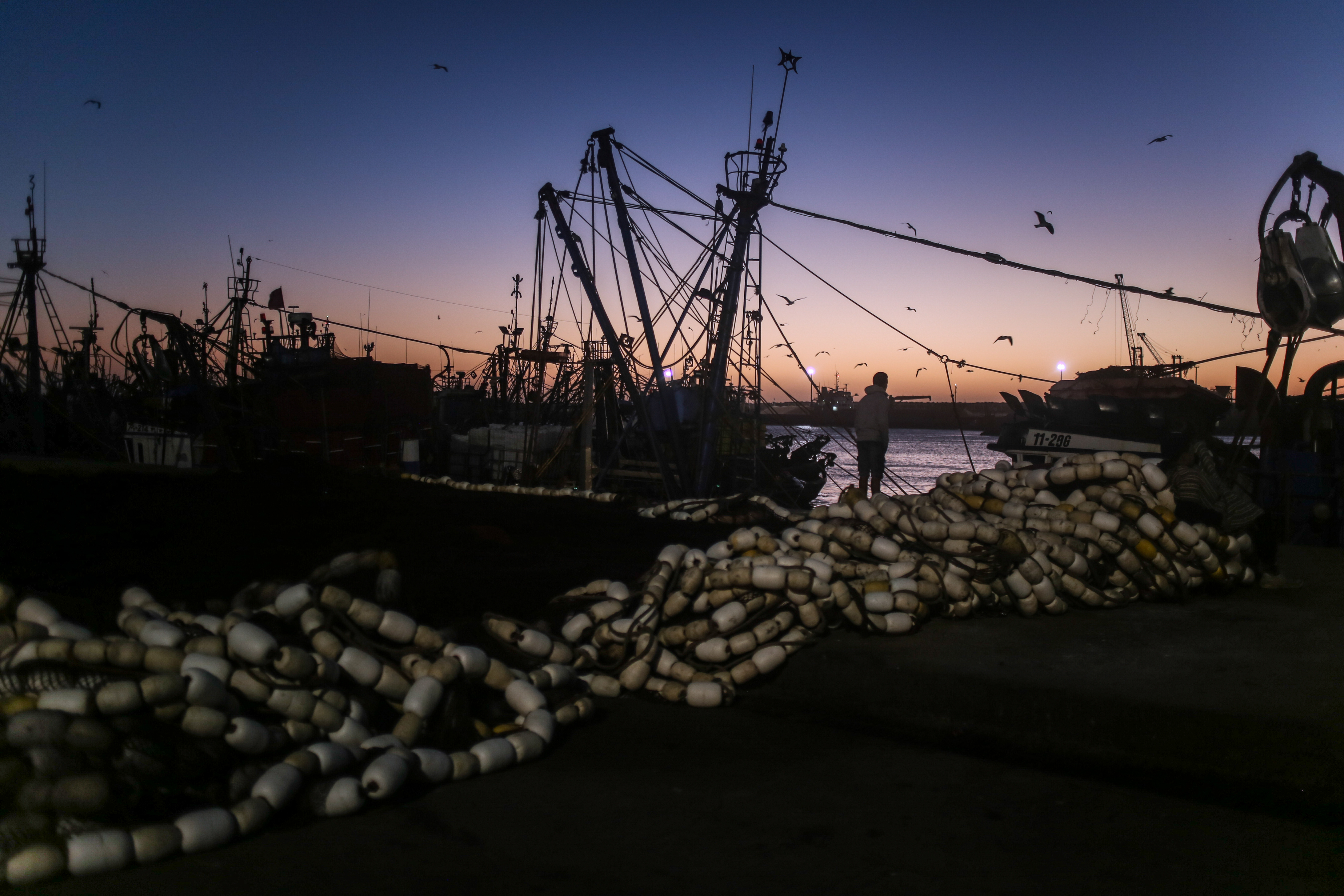 694101594bd19_ElliLorz_IMG_2198