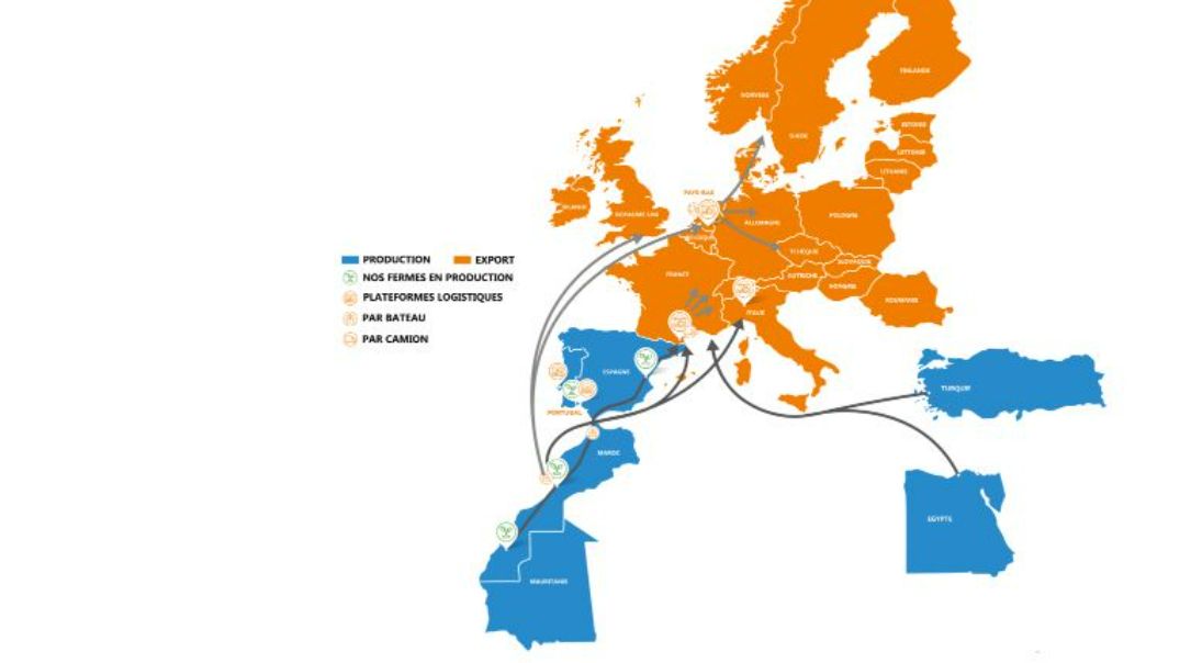 691b802b77f2a_Sofruceweb