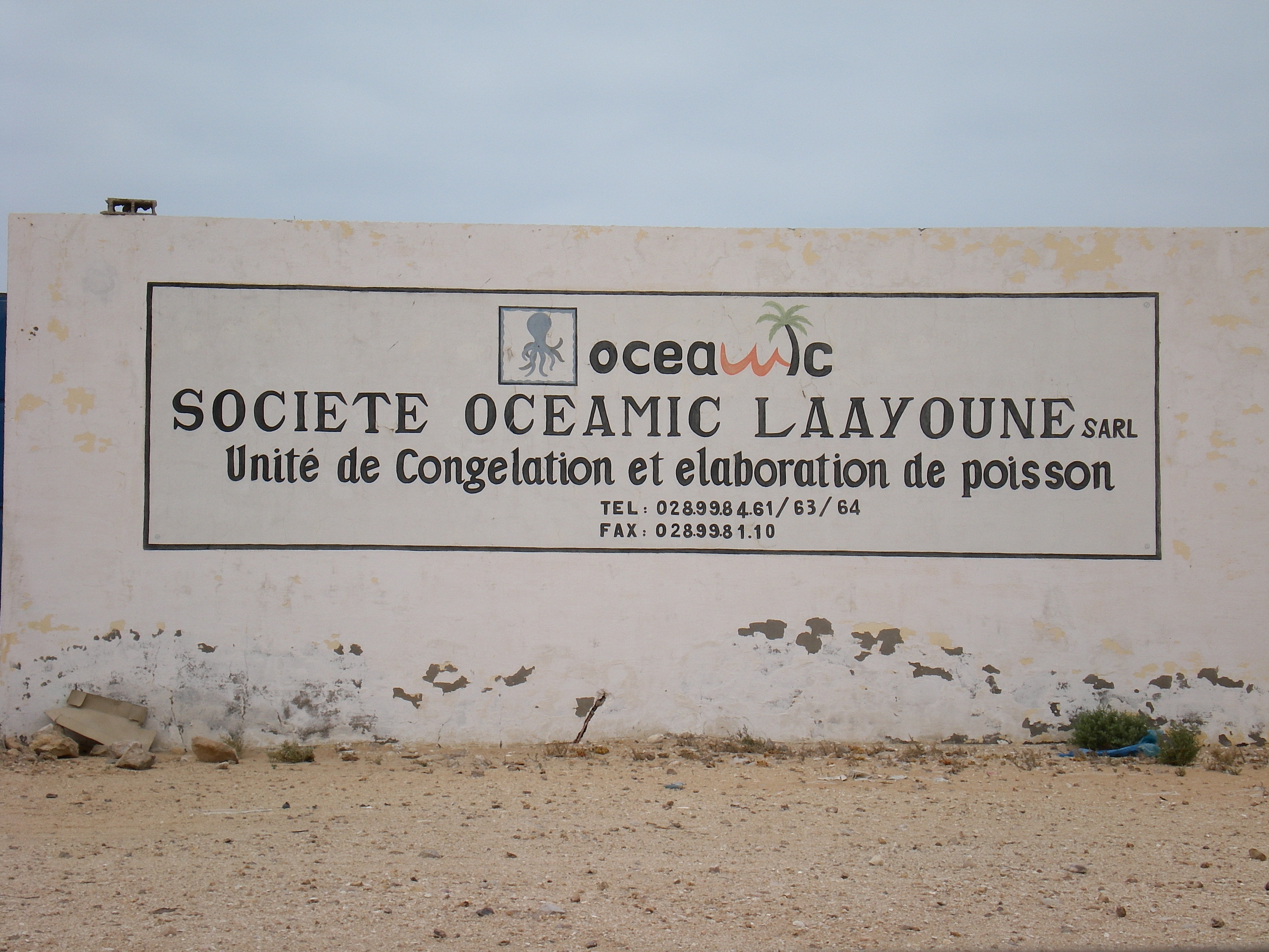 691b8b9f8a816_OceamicLaayouneSARL