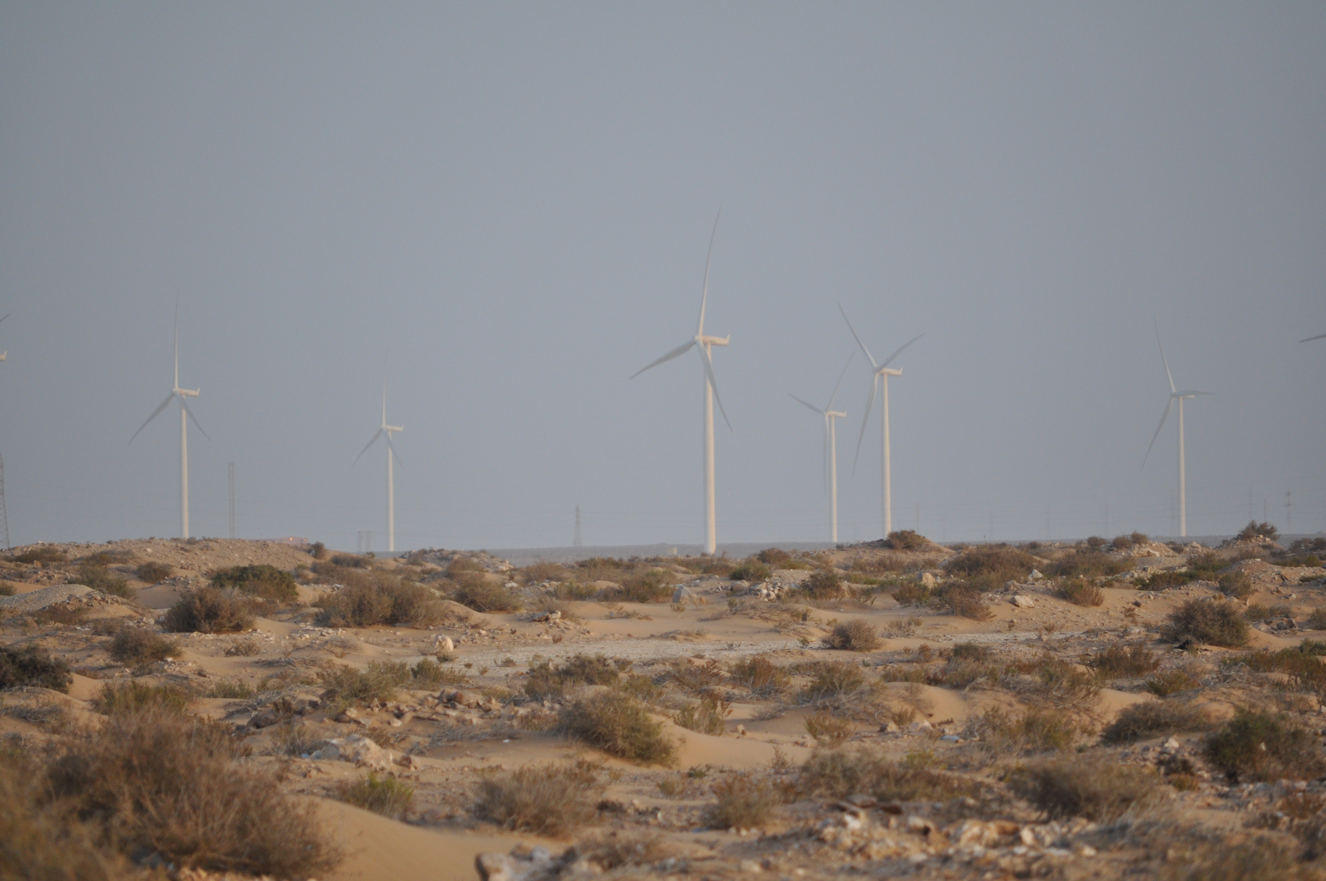 634eaf3b9fa34_foumeloued20