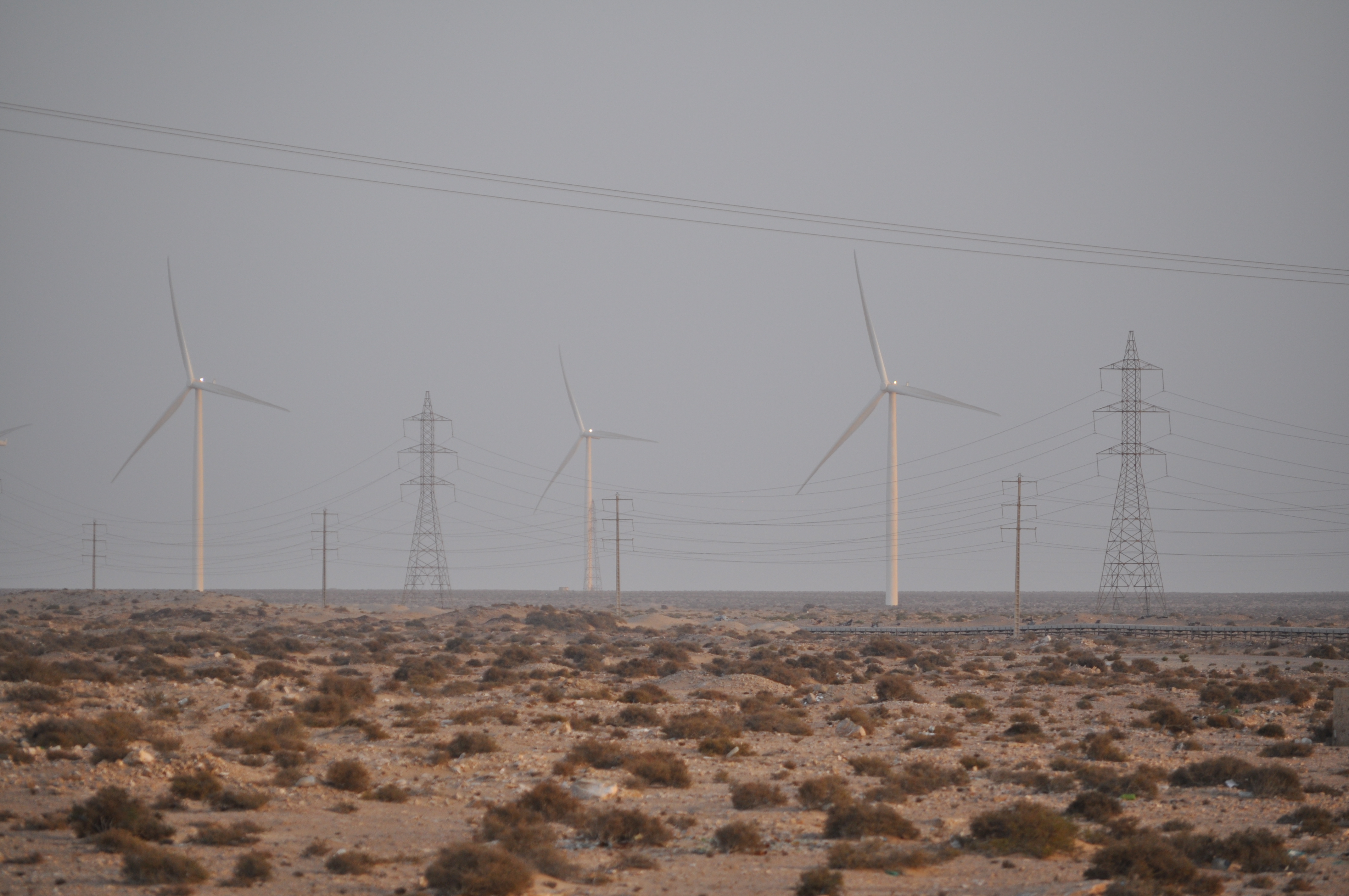 634eaf4c8d67c_foumeloued51