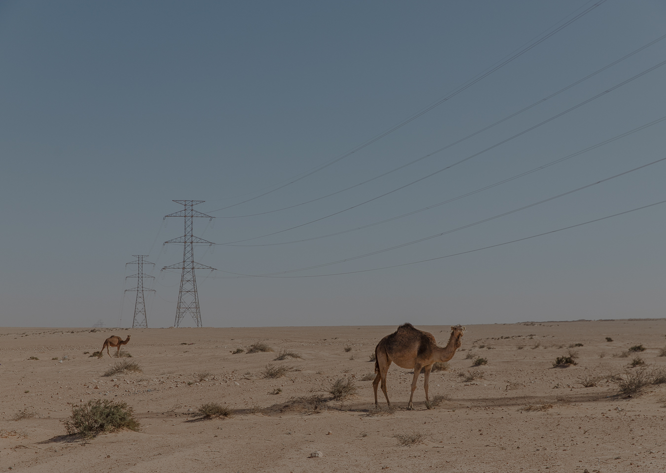 6aa2d1cc8badd_2024_WSRW_Klenner_Laayoune_118